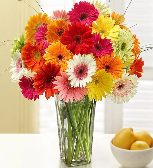 Happy Gerbera Daisies