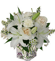 White & Cream Blooms