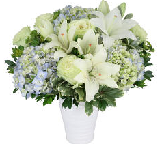 Beautiful in Blues and Whites