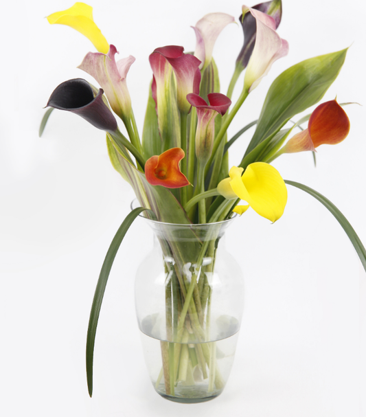 Captured Color  Calla Lily Bouquet