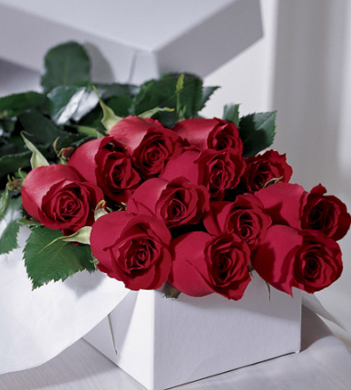One Dozen Boxed Roses