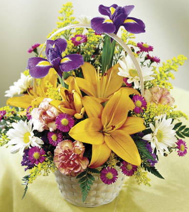 Natural Wonders Basket