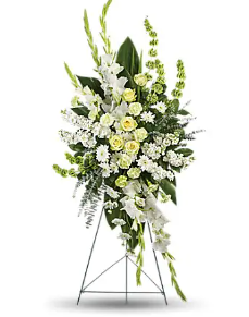 Magnificent Life Spray