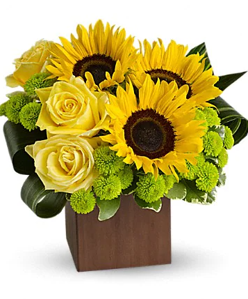 Teleflora's Sunflower Fantasy