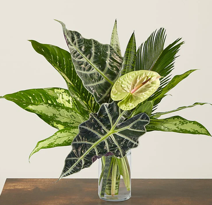 The Paradise Bouquet