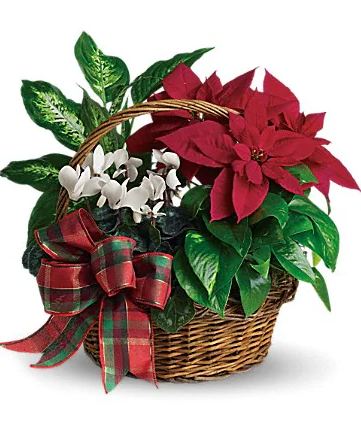 Holiday Homecoming Basket