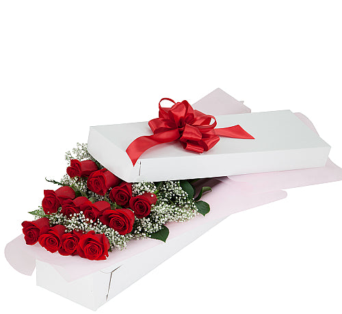 12 Red Roses Boxed