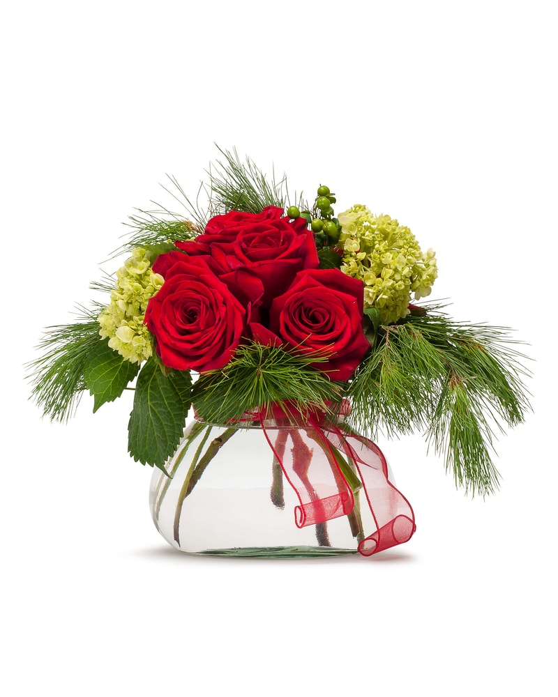 Season's Greetings PointRoses