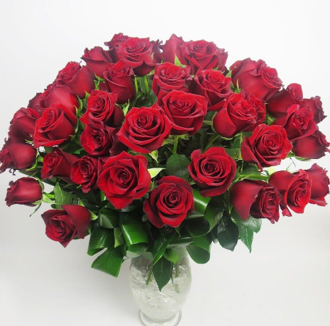 48 Stems Red Rose Arrangement