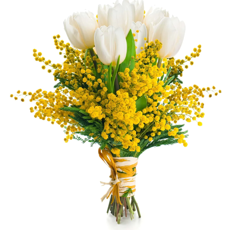 Mimosa Bouquet