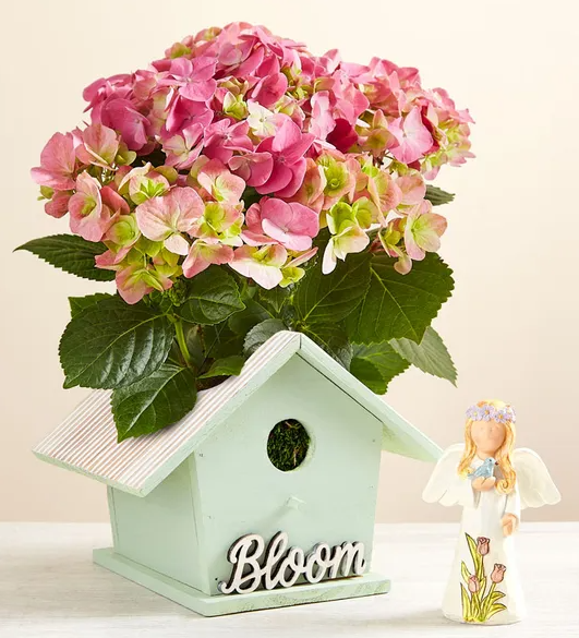 Bird House of Blooms