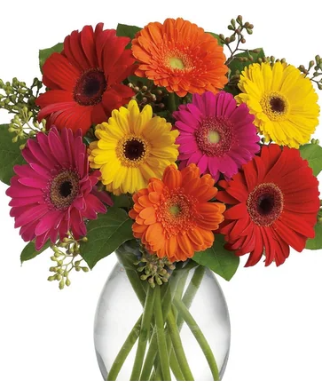 Wicked Awesome Assorted Gerberas