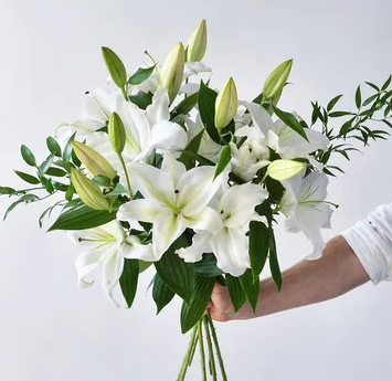 Hand-Tied Bouquet Of Pristine White Lilies