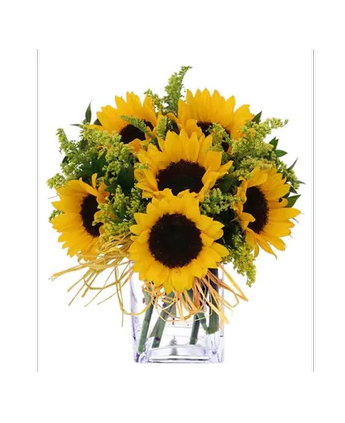 SUNFLOWERS OF HYANNIS