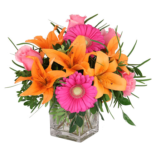 Point Roses Deluxe Colour My Day – PointRoses