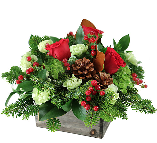 Point Roses Deluxe Home For Christmas – PointRoses