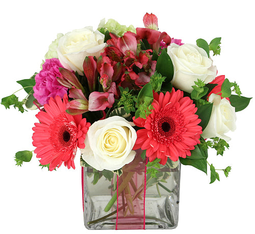 Point Roses Deluxe Renaissance – PointRoses