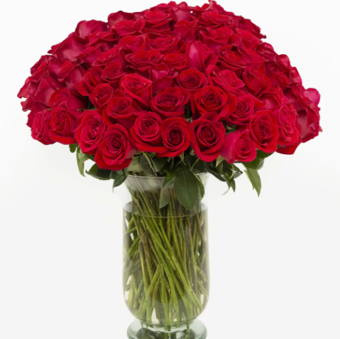 100 Premium Long Stem Red Roses In A Vase