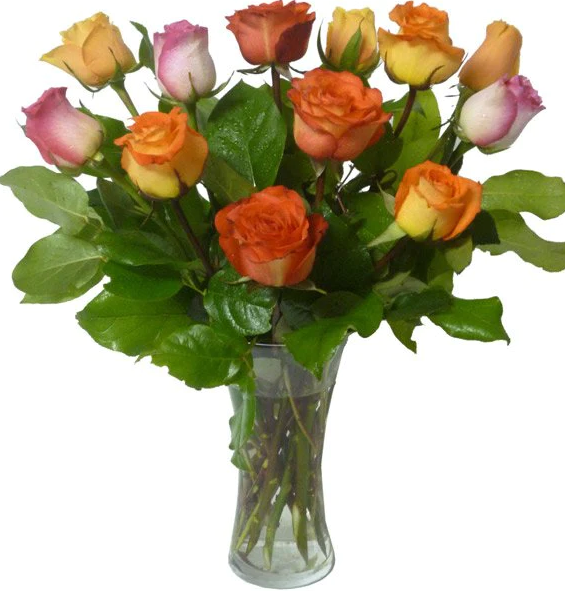 Point Roses Deluxe V-Rainbow of Roses – PointRoses